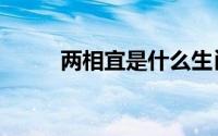 两相宜是什么生肖（两相宜解释）