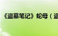 《盗墓笔记》蛇母（盗墓笔记中蛇母的身世）
