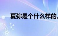 夏弥是个什么样的人（夏弥弥是什么）