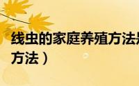 线虫的家庭养殖方法是什么（线虫的家庭养殖方法）