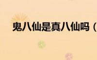 鬼八仙是真八仙吗（鬼八仙朱七扮演者）