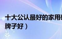 十大公认最好的家用破壁机（破壁料理机哪个牌子好）