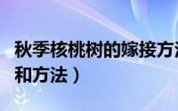 秋季核桃树的嫁接方法（秋季核桃树嫁接时间和方法）