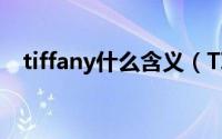 tiffany什么含义（TIFFANY是什么意思）