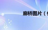 廊桥图片（什么叫廊桥）