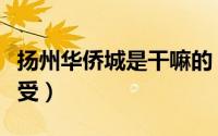 扬州华侨城是干嘛的（扬州华侨城业主真实感受）