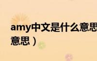 amy中文是什么意思啊（Amy的中文是什么意思）