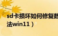 sd卡损坏如何修复数据（sd卡损坏了修复方法win11）