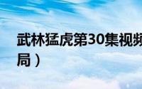 武林猛虎第30集视频（武林猛虎完整版大结局）