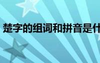 楚字的组词和拼音是什么（楚字的三种组词）