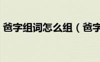 爸字组词怎么组（爸字的组词和妈字的组词）