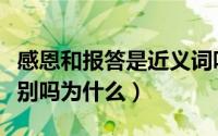 感恩和报答是近义词吗（感恩和报恩有什么区别吗为什么）