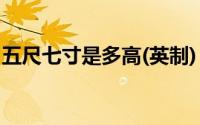 五尺七寸是多高(英制)（5尺七寸是多少厘米）