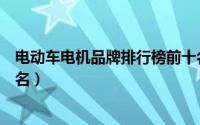 电动车电机品牌排行榜前十名（汽车发电机品牌排行榜前十名）