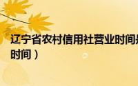 辽宁省农村信用社营业时间是几点（辽宁省农村信用社营业时间）