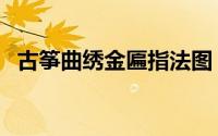 古筝曲绣金匾指法图（古筝曲绣金匾指法）