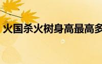 火国杀火树身高最高多少（火国杀火树身高）