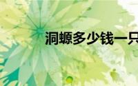 洞螈多少钱一只（洞螈能养吗）