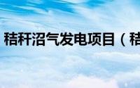 秸秆沼气发电项目（秸秆沼气发电的优缺点）