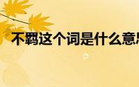 不羁这个词是什么意思（不羁夜什么意思）