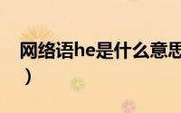网络语he是什么意思（网络用语he什么意思）