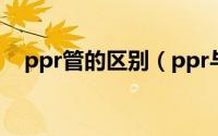 ppr管的区别（ppr与ppx给水管的区别）