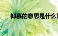 仰慕的意思是什么解释（仰慕的意思）