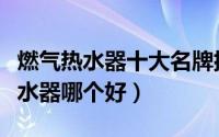 燃气热水器十大名牌排名（林内和能率燃气热水器哪个好）