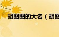 胡图图的大名（胡图图为什么叫胡图图）