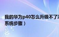 我的华为p40怎么升级不了鸿蒙（p40怎么升级不了鸿蒙30系统步骤）