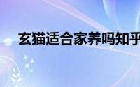 玄猫适合家养吗知乎（玄猫适合家养吗）
