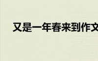 又是一年春来到作文（又是一年春来到）