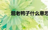 屁老鸭子什么意思（鸭子什么意思）