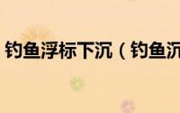 钓鱼浮标下沉（钓鱼沉标和浮标有什么区别）