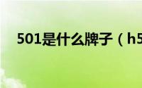 501是什么牌子（h500衣服是什么牌子）
