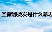 圣薇娜烫发是什么意思（圣薇娜烫发怎么样）