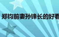 郑钧前妻孙锋长的好看吗（郑钧的前妻孙锋）