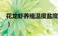 花龙虾养殖温度盐度和咸度?（花龙虾怎么养）