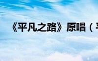 《平凡之路》原唱（平凡之路毛不易原唱）