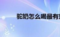 驼奶怎么喝最有效（驼奶怎么喝）