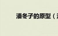 潘冬子的原型（潘冬子最后下场）