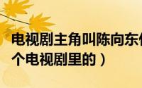 电视剧主角叫陈向东什么电视剧（陈向东是哪个电视剧里的）