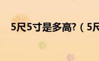 5尺5寸是多高?（5尺5寸身高是多少~~）