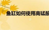 鱼缸如何使用高锰酸钾（鱼缸如何使用）