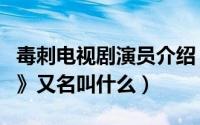 毒刺电视剧演员介绍（有一部老电视剧《毒刺》又名叫什么）