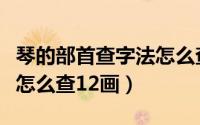 琴的部首查字法怎么查（琴有没有部首查字法怎么查12画）