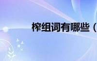 榨组词有哪些（术组词有哪些）