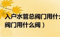 入户水管总阀门用什么阀门最好（入户水管总阀门用什么阀）