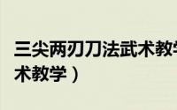 三尖两刃刀法武术教学教案（三尖两刃刀法武术教学）