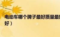 电动车哪个牌子最好质量最好三轮（中国电动车哪个牌子最好）